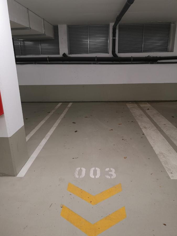 Rooftop Terrace, Free Garage Parking And Pool! ウィーン エクステリア 写真
